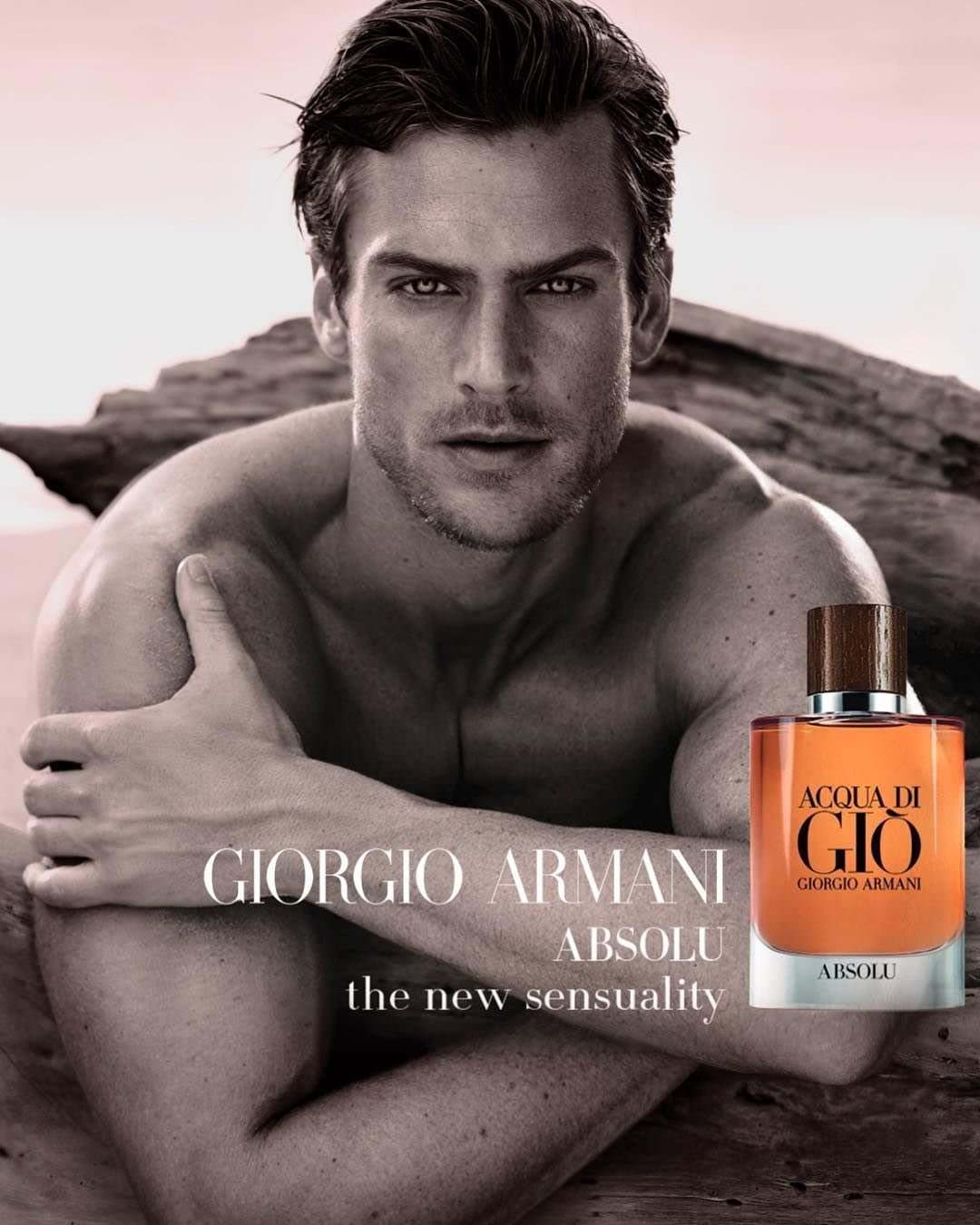 ARMANI ACQUA DI GIÒ ABSOLU -Eau de Parfum