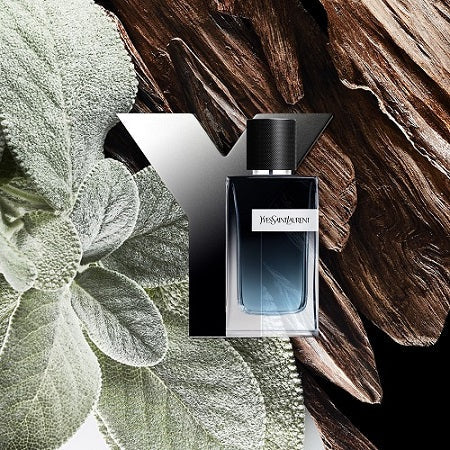 YVES SAINT LAURENT  Y-Eau de Parfum