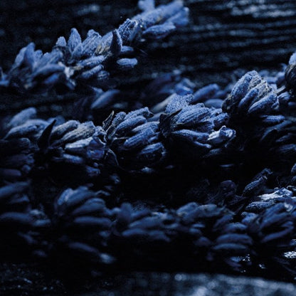 <strong> DIOR <br> SAUVAGE ELIXIR </strong><br> Parfum