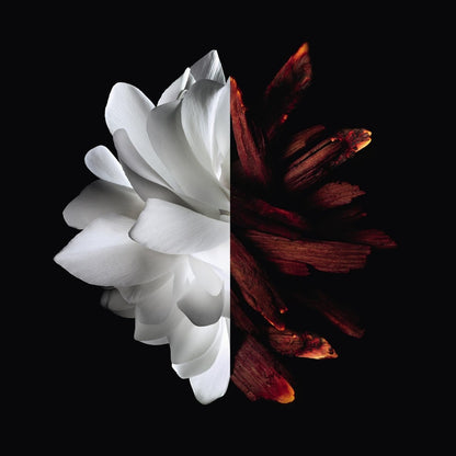 <strong> GIVENCHY <br> L'INTERDIT ROUGE </strong><br> Eau de Parfum