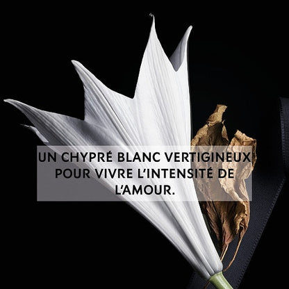 <strong> YVES SAINT LAURENT <br> MON PARIS </strong><br> Eau de Parfum