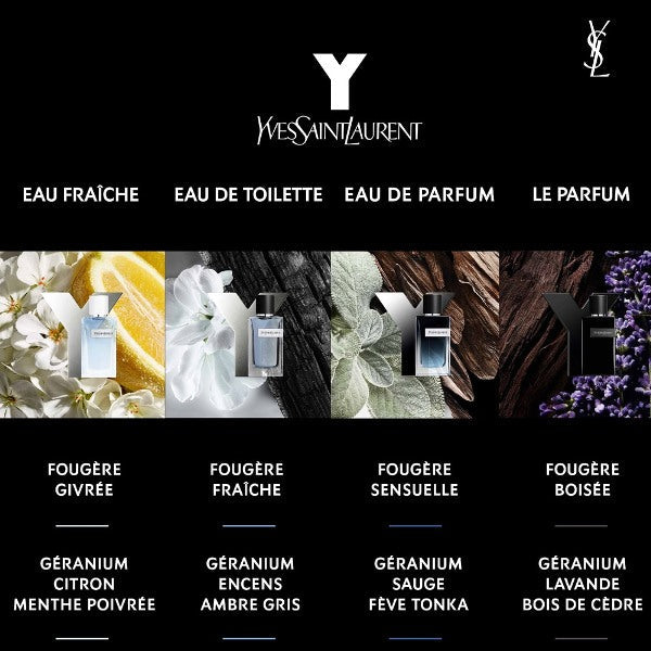 <strong> YVES SAINT LAURENT <br> Y LE PARFUM </strong><br> Parfum